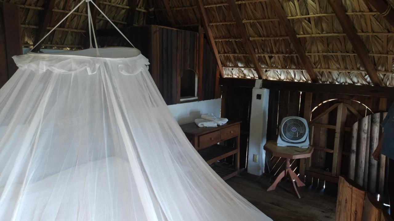 Shambhala Vision Hotel Zipolite Bagian luar foto